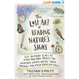 The Lost Art of Reading Nature’s Signs